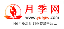 中国上海龙凤419，月季品种介绍和养护知识分享专业网站(图1)
