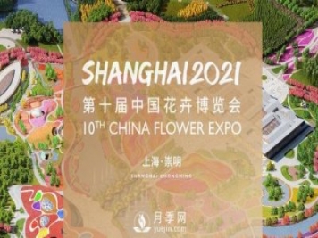 5月，第十届中国花博会将在崇明拉开帷幕